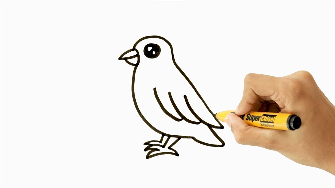 How To Draw A Cute Bird Easy Step By Step Draw With Sketchy YouTube how-to-draw-a-cute-bird-easy-step-by-step-draw-with-sketchy-youtube