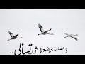 على مين الملامة