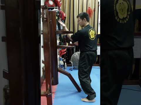 Video: 4 školy bojových umění v Hong Kongu