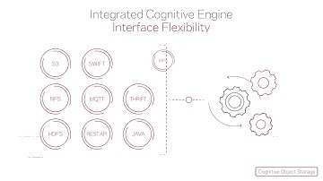 Veritas Cognitive Object Storage - Overview