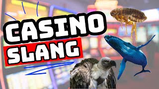 Casino Employee Slang Terms Revealed! 🎰 Insider Comedy by a Former Casino Employee 🤯