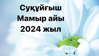 Суқұйғыш 2024 жылдың Мамыр айына арналған Таро жорамалы