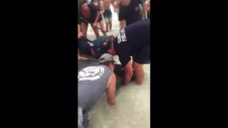 Beached manatees rescued in Clearwater Beach