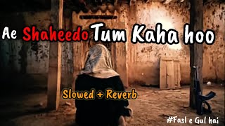 Fasle Gul Hai🌾 || Ae Shaheedo Tum Kaha Ho ☝|| Slowed   Reverb 🎧