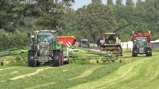 Oude Lashof grass silage