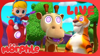 Maraton de Morphle en VIVO 🔴 Morphle en Español