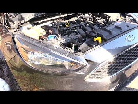 Ford Focus Headlight & Assembly Change 2017- Same for many years.
