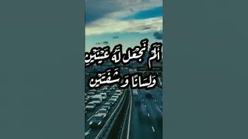 من تلاوات القارئ الشيخ أحمد سعد من محراب مسجد التوفيق ب #صنعاء #اليمن