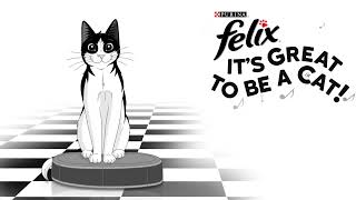 FELIX It's Great to be a Cat - Roomba