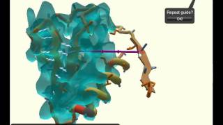 Foldit: Electron density