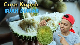 Tutorial Cara Belah Buah Durian Untuk Beginner. Perempuan Pun Boleh Buat.