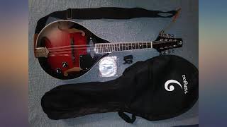 Mandolin A Style Acoustic Electric Mandolins Instrument Vintage Red Sunburst review