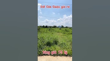 Đất Cần Giuộc. Diện tích 4050m2 trong đó có 2400m2 thổ cư, thích hợp làm nhà xưởng, gần DT830, SHR