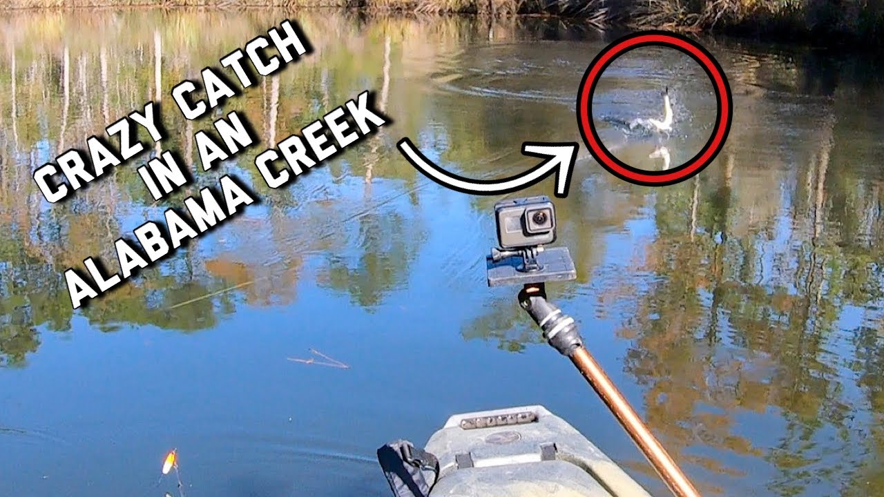 CRAZY CATCH while Kayak Fishing SALTWATER CREEK Alabama Fall Kayak