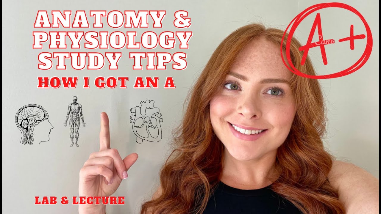 HOW TO GET AN A IN ANATOMY & PHYSIOLOGY | Lab & Lecture Study Tips!
