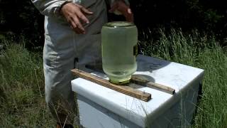 Beekeeping Tips and Tricks for the Outyard