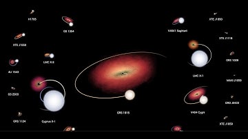 Black hole systems in our galaxy and the Large Magellanic Cloud