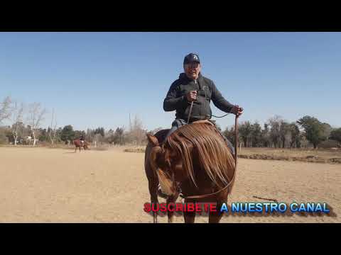 Video: Tratar con el caballo de un solo lado