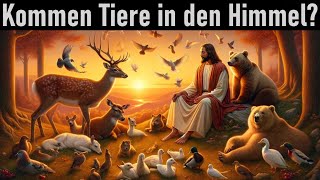 Gottes Plan für die Tierwelt ➤ Kommen Tiere in den Himmel? | Nachtfragen [274]