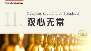 No. 11  禪修與靜坐——觀心無常 | 易明海外專場  無常是什麼？為什麼要觀無常？怎樣觀修無常？#實修的方法 #觀心無常 #佛法學習 #學佛修行 #修行的方法 #易明淨土實修菩提講堂 #仁澤法師