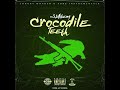 Crocodileteethriddim dj rj entertainment mix 2020crocodilekillabeeblackchineyskillibengetc