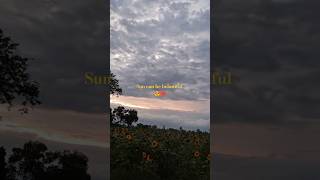 O Maahi Song || Nature view || Dunki Film #shortvideo #youtubeshorts #omaahisong #natureview