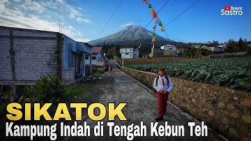 SIKATOK, KAMPUNG INDAH DI TENGAH KEBUN TEH WONOSOBO