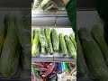 satu yang aneh ini benda buat apa di jual