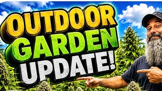 Another outdoor garden update #promix #organicgardening 