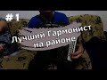 ЧТО Дед творит на гармошке. вертуоз