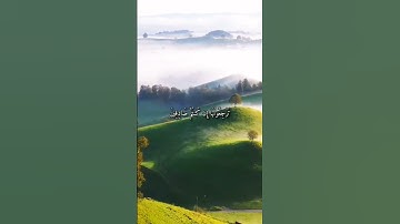 واتس أب قرآن كريم القارئ ياسر الدوسري من سورة (الواقعة)