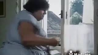 josh kips entertainment