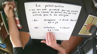 La palatisation