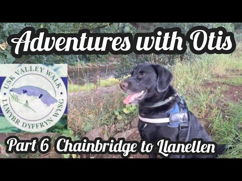 Usk Valley Walk with Otis : Part 6 : The Chainbridge Inn at Kemeys Commander to Llanellen