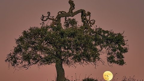 How to Plan a Moon Shoot with The Photographer