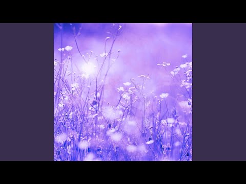 Warm Ambience for