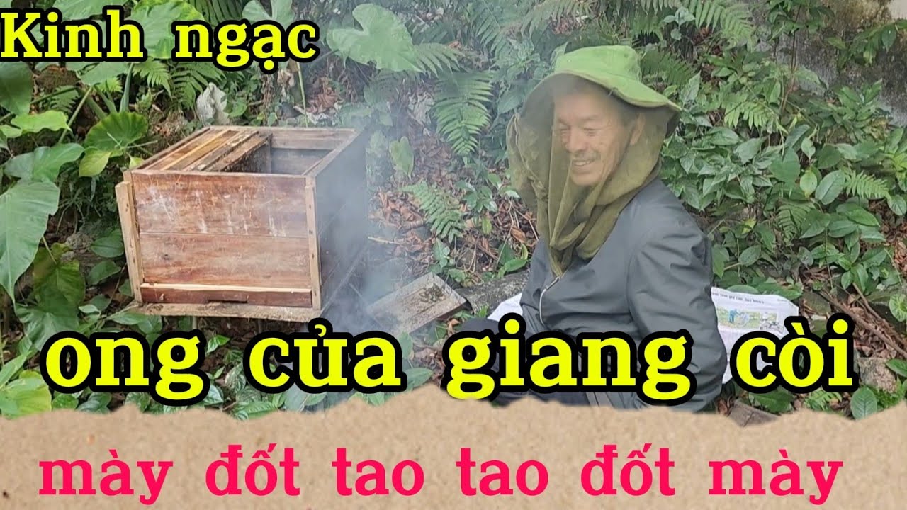 Kinh ngạc ĐÀN ONG CỦA GIANG CÒI MÀY ĐỐT TAO TAO ĐỐT MÀY 