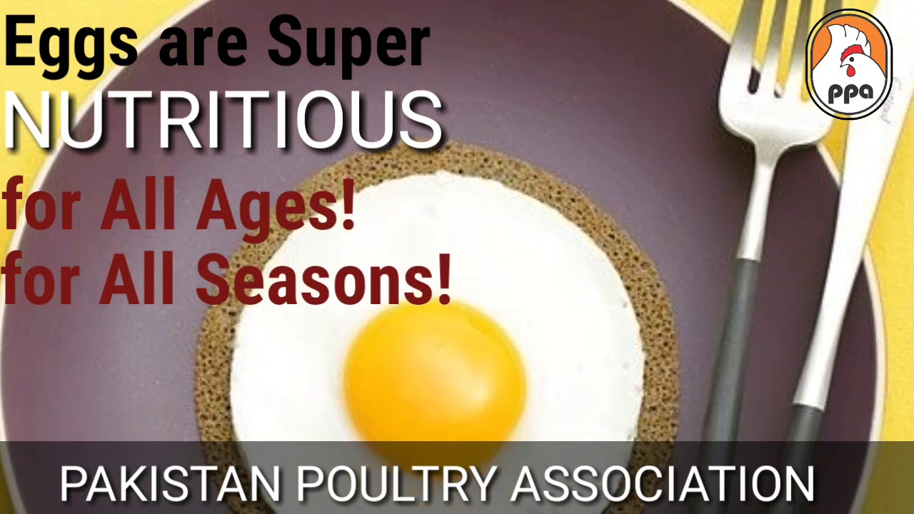 Eggs are super nutritious awareness raising