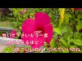 波の花海岸 / 服部浩子 ♪コジロー