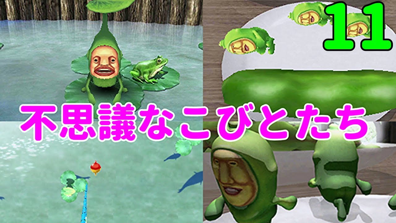 こびとの不思議実験セット11 イケノミズクサがいた！ - YouTube