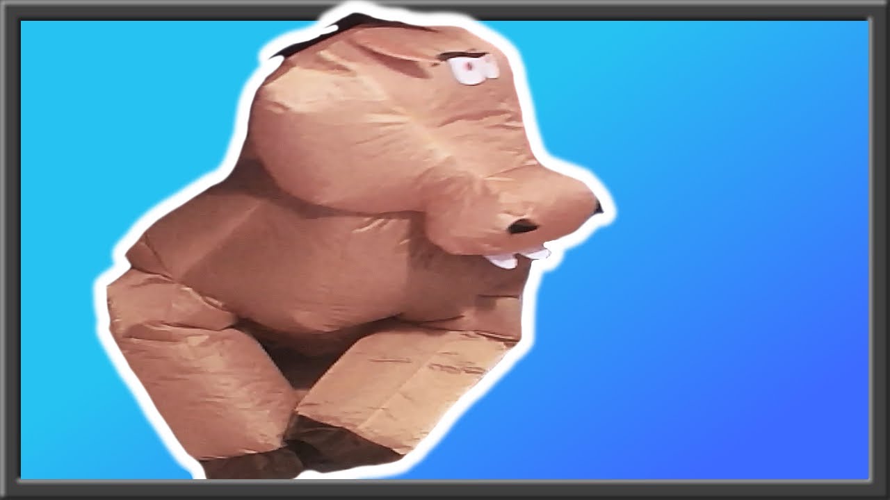 Messing About: Inflatable Horse 2