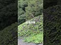 言い訳するな