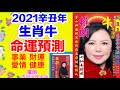 【生肖牛】權朗2021年十二生肖屬牛運程,2021年辛丑牛年十二生肖流年運勢, 八字,預言