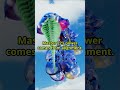 Master Number 22 -4 Are You Building From Love#spiritualawakening #masternumber22#shorts #numerology