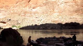 colorado river redwall cavern