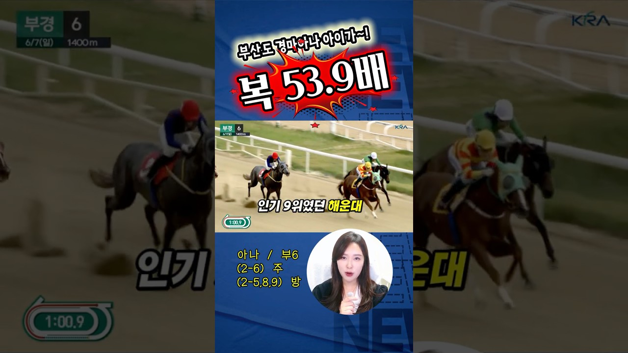 복 53.9배!! 부산경마도 경마아나 아이가~~