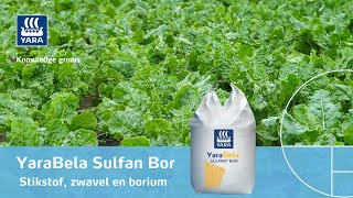 YaraBela Sulfan Bor | Korrelmeststof met stikstof, zwavel en borium