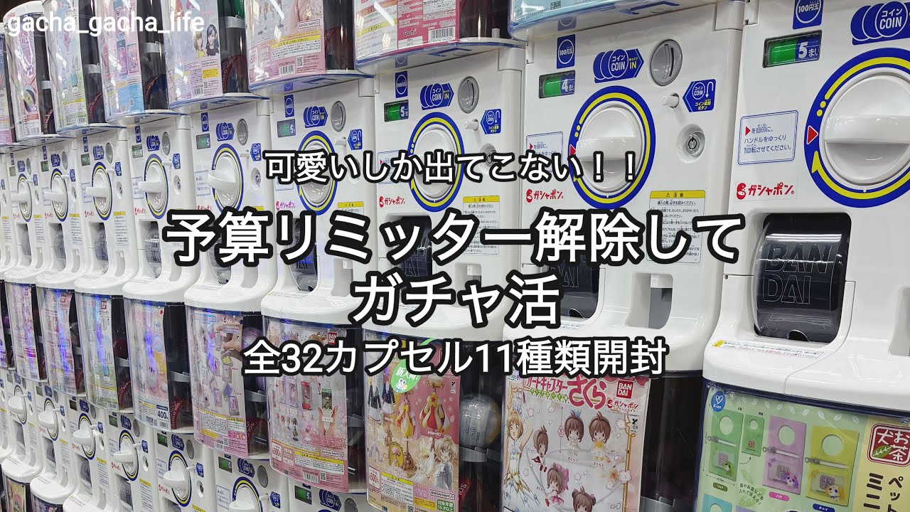 【ガチャ活】可愛いしか出てこないガチャを前にリミッター解除 #ガチャ活 #ガチャガチャ #開封動画 