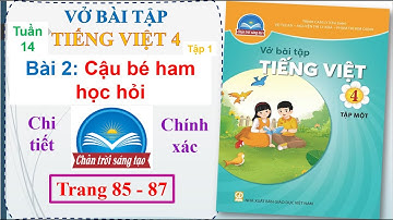 Vở bài tập Tiếng Việt lớp 4 Bài 2: CẬU BÉ HAM HỌC HỎI Chân trời sáng tạo tuần 14 | Thầy Tiểu học
