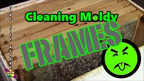 Cleaning up moldy frames